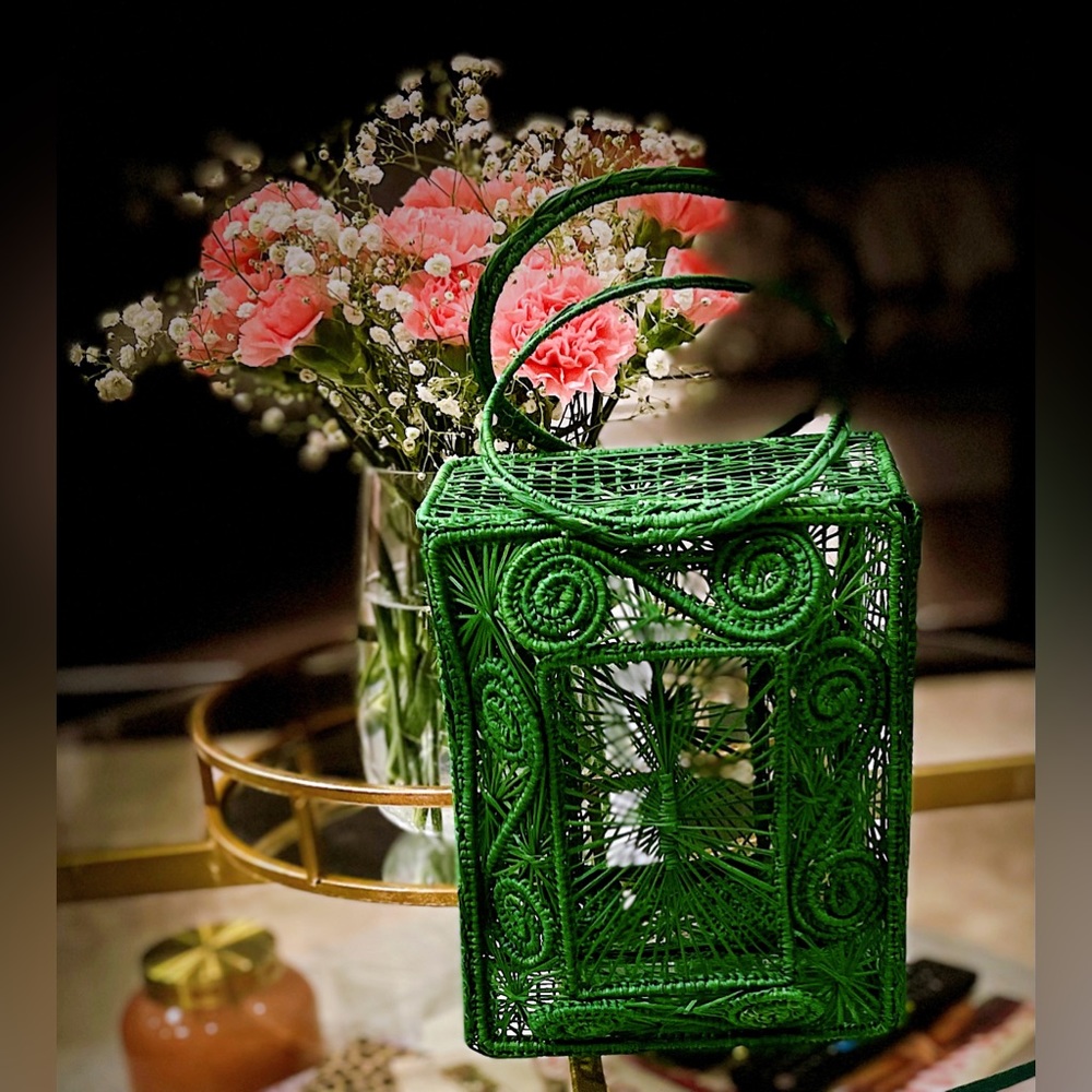 Striking Raffia / Iraca Purse